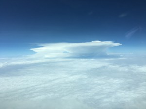 IMG_8723